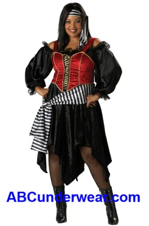 Plus Size Pirate Lady Costume